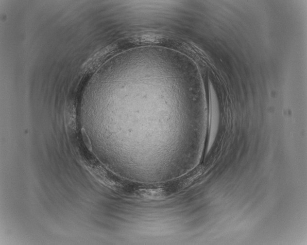 X0000072930552200608111538