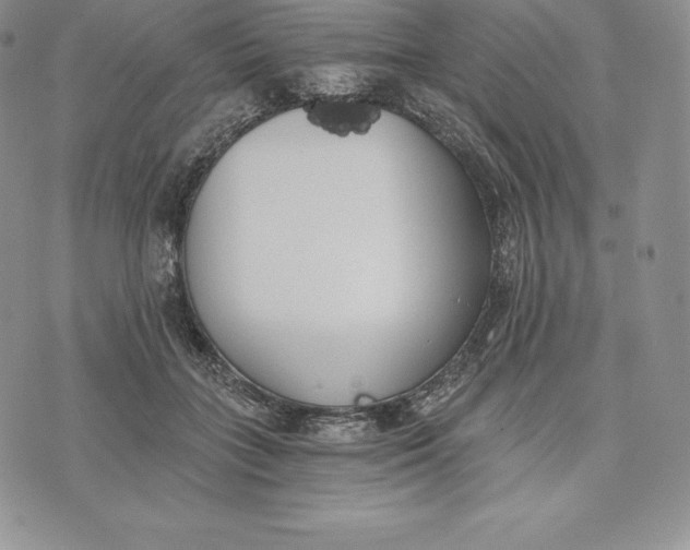 X0000072930555200608111538