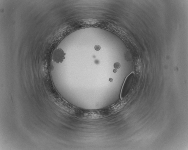 X0000072930559200608111538