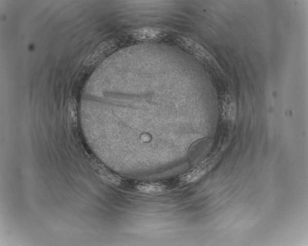 X0000072930561200608111538