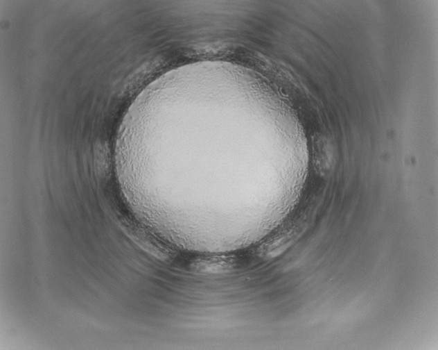 X0000072930563200608111538