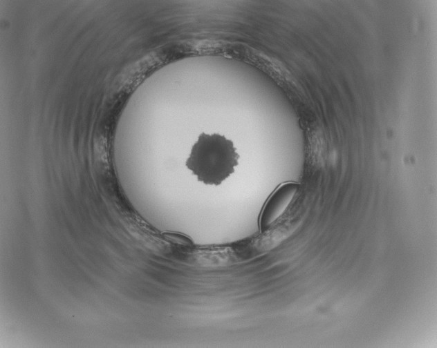 X0000072930571200608111538