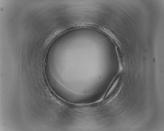 X0000072930577200608111537