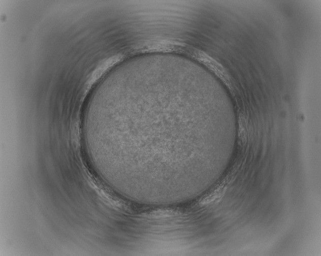 X0000072930578200608111537