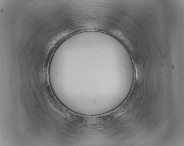 X0000072930579200608111537