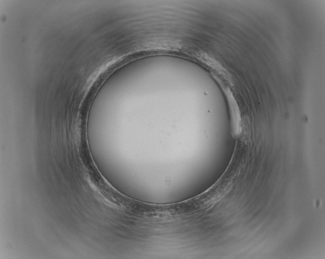 X0000072930580200608111537