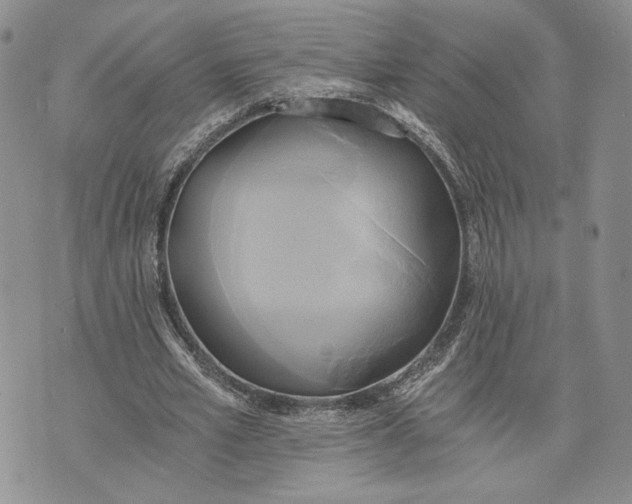 X0000072930581200608111537