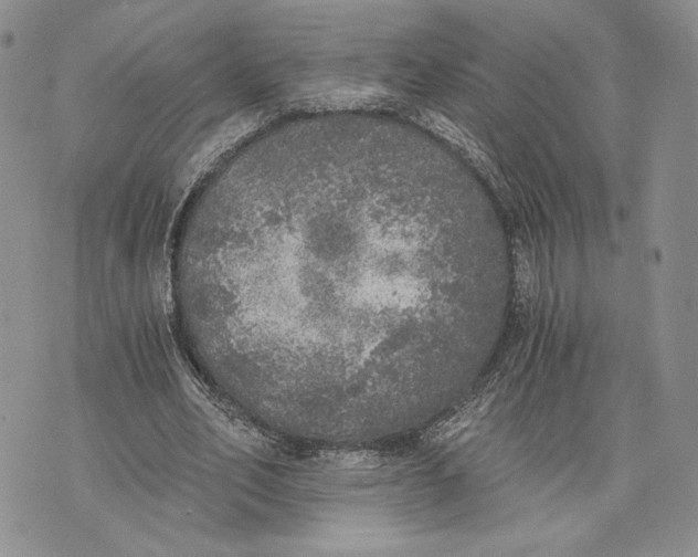 X0000072930582200608111537