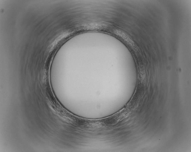 X0000072930583200608111537