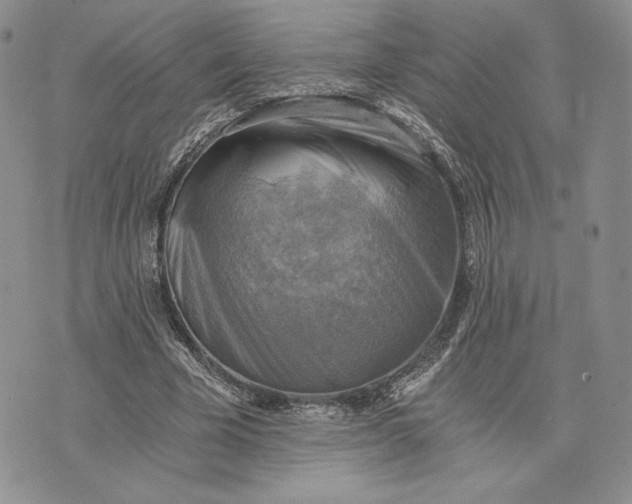 X0000072930585200608111537