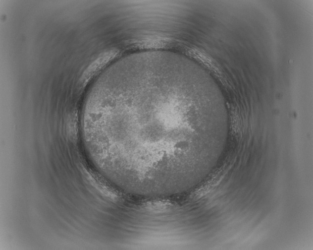 X0000072930586200608111537