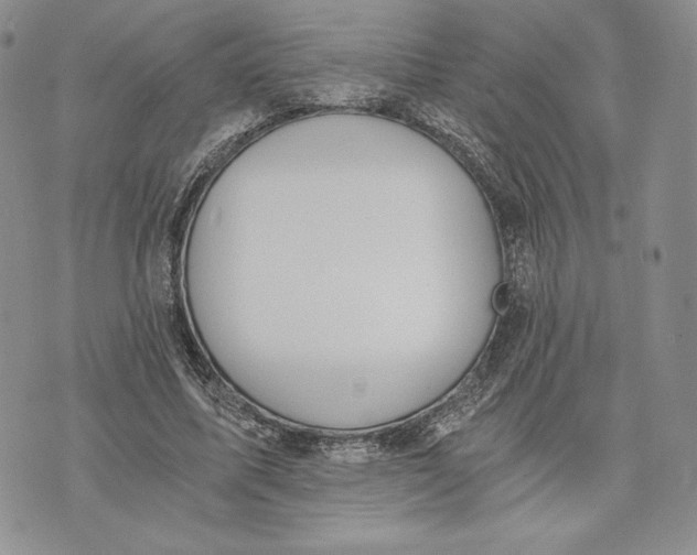 X0000072930587200608111537