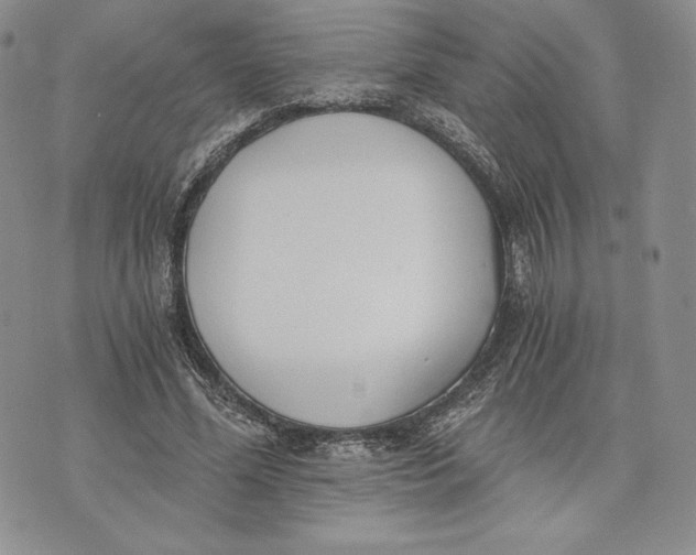 X0000072930588200608111537