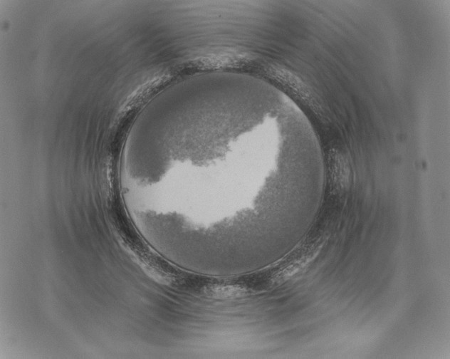 X0000072930590200608111537