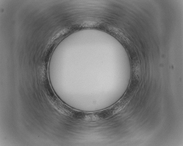 X0000072930591200608111537