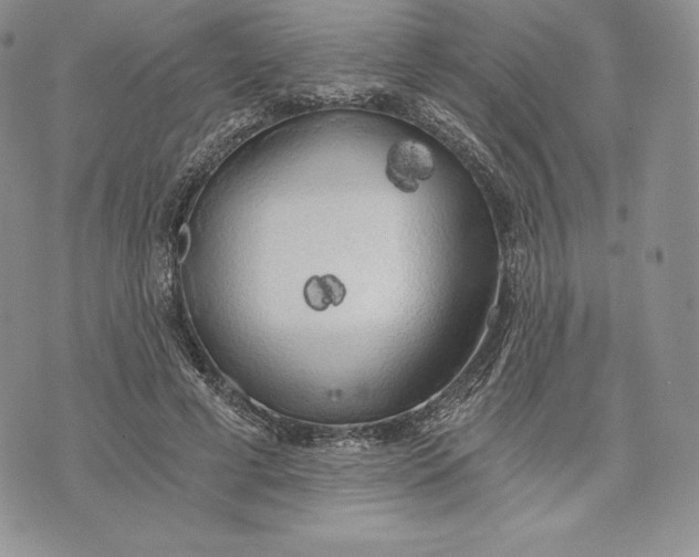 X0000072930593200608111537