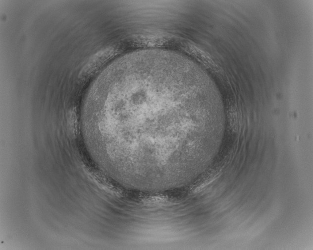 X0000072930594200608111537