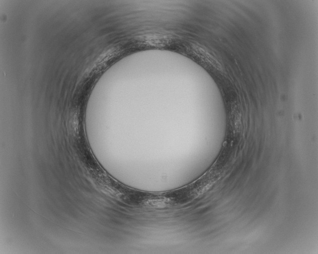 X0000072930595200608111537