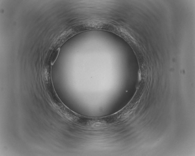 X0000072930597200608111537