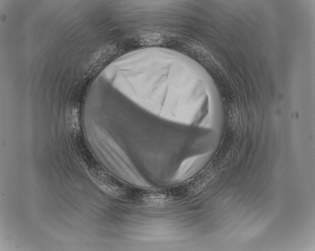 X0000072930598200608111537