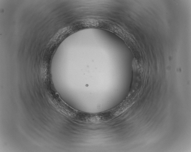 X0000072930600200608111537