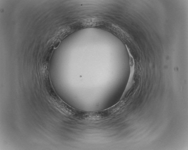 X0000072930601200608111537