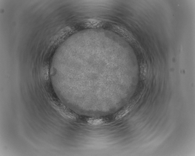 X0000072930602200608111537