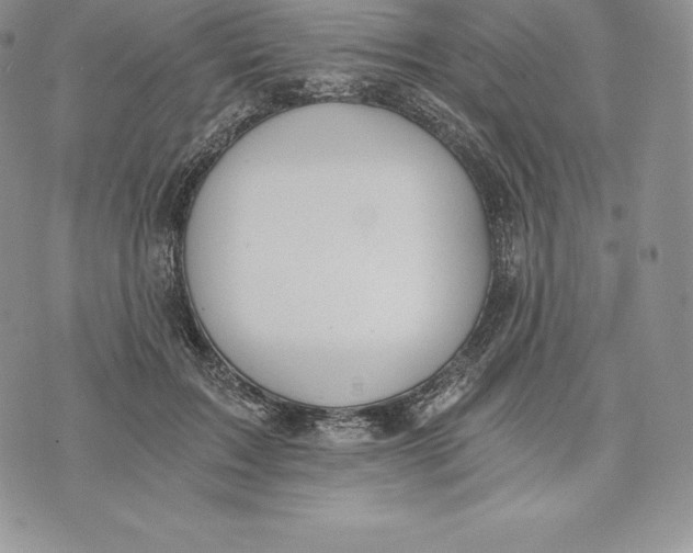 X0000072930603200608111537