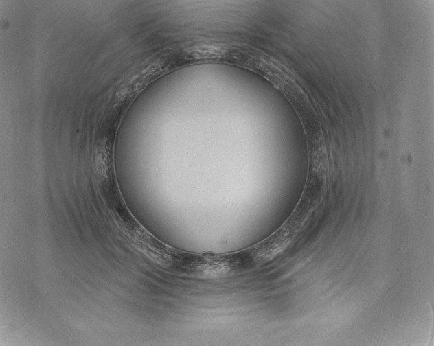 X0000072930604200608111537