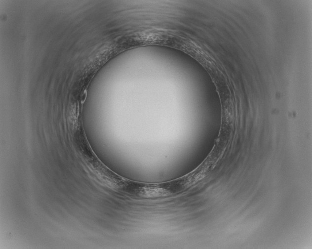 X0000072930605200608111537