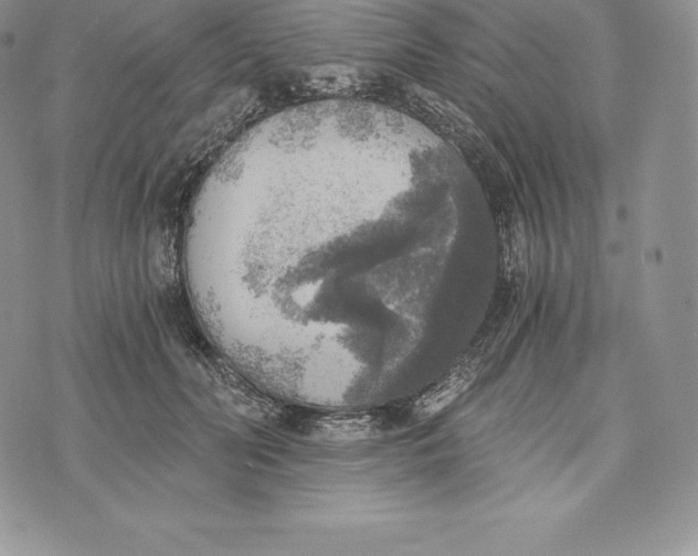 X0000072930606200608111537