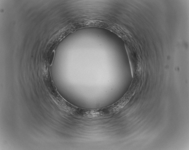 X0000072930607200608111537