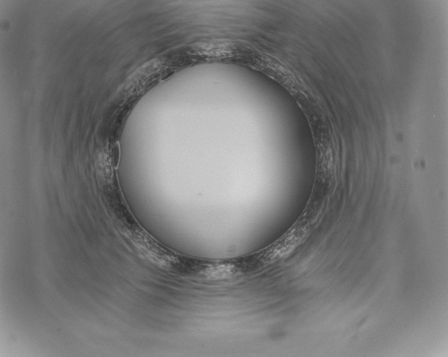 X0000072930609200608111537