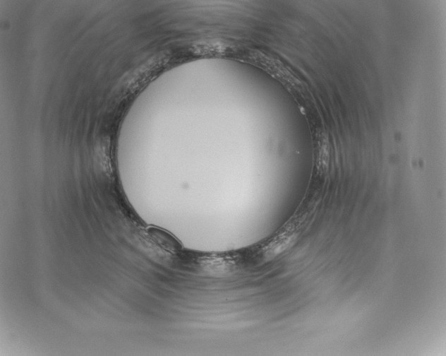 X0000072930616200608111537