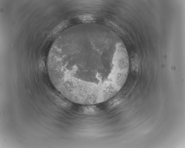 X0000072930618200608111537