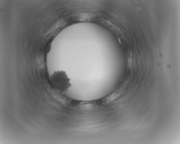 X0000072930620200608111537