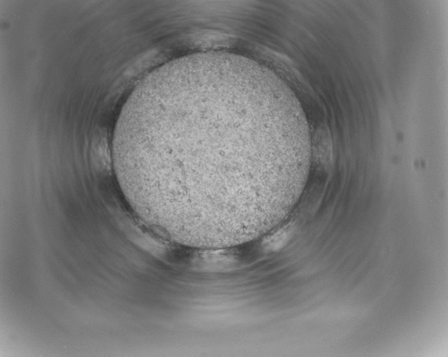 X0000072930622200608111537