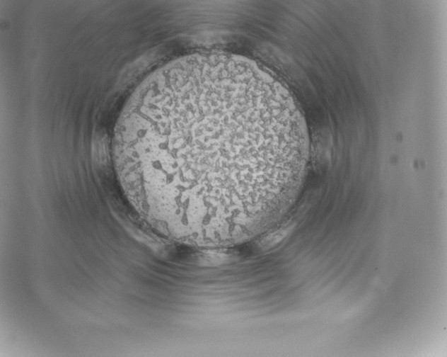 X0000072930623200608111537