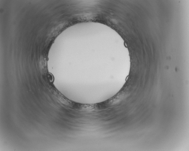 X0000072930624200608111537