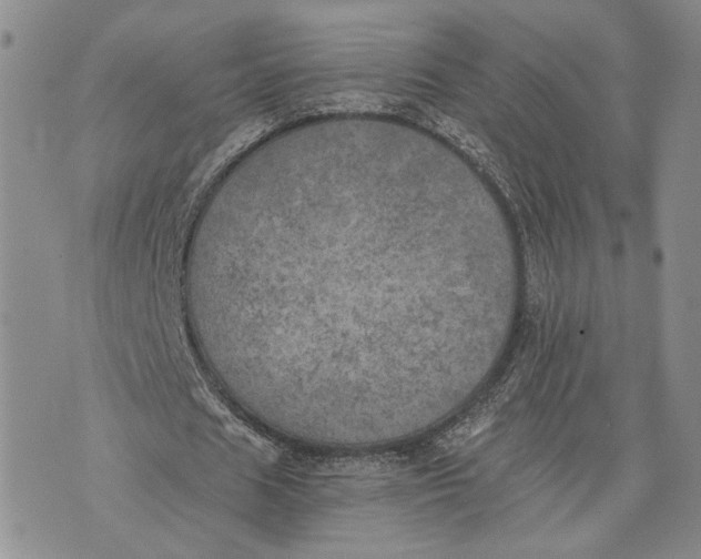 X0000072930625200608111536