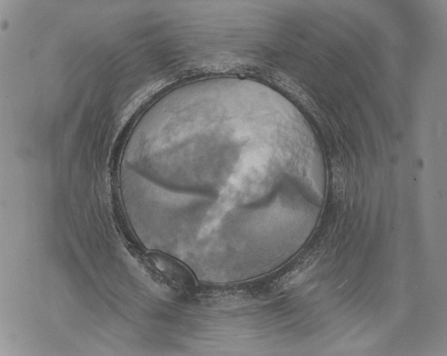 X0000072930626200608111536