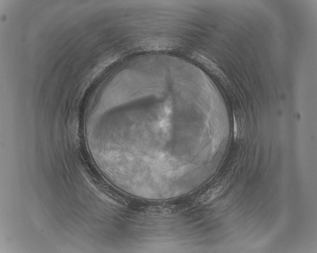 X0000072930627200608111536