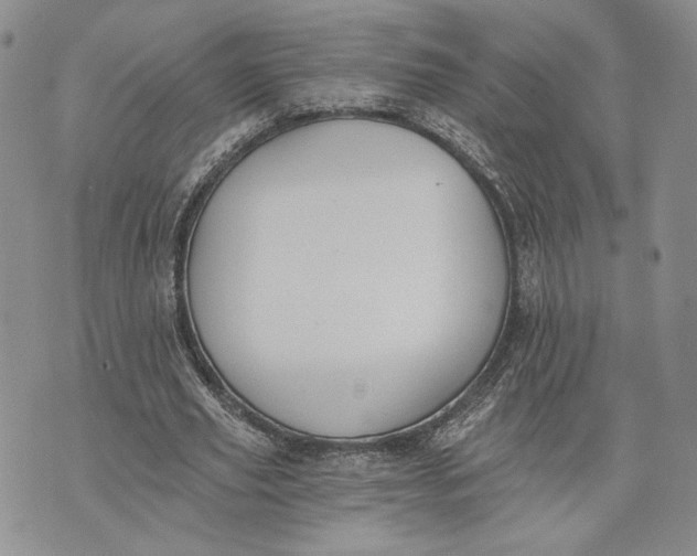 X0000072930629200608111536