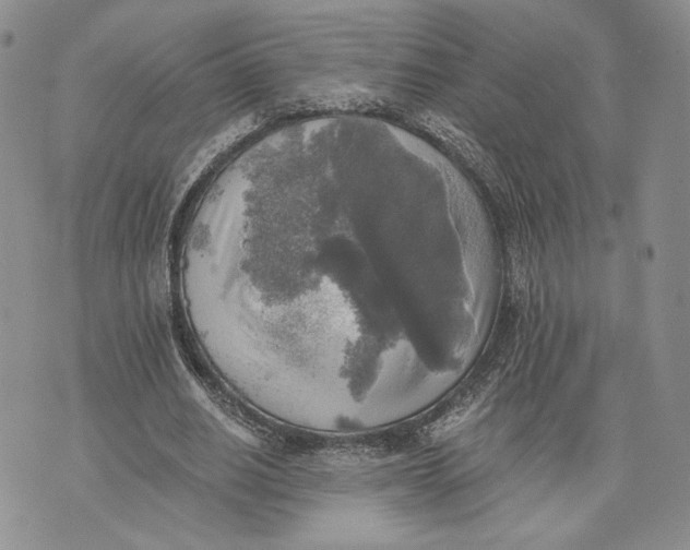 X0000072930630200608111536