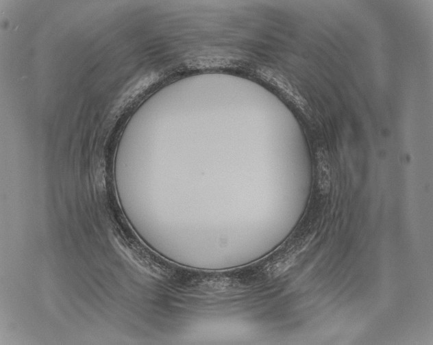 X0000072930631200608111536