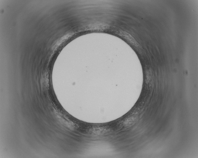 X0000072930632200608111536