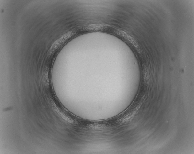 X0000072930633200608111536