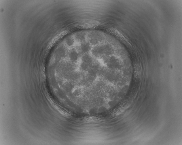 X0000072930634200608111536