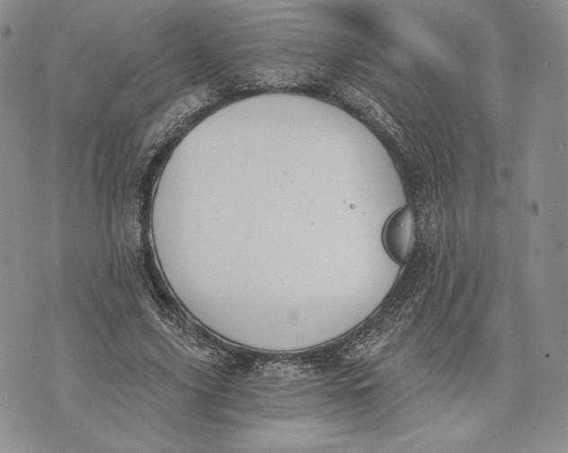 X0000072930635200608111536