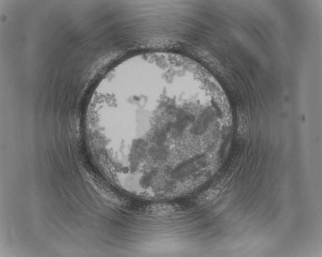 X0000072930636200608111536